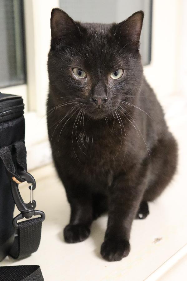 Pippo, picciotto meraviglioso Foto 3